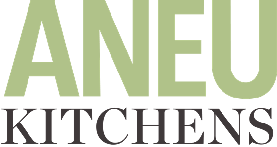 Brand Aneu Logo