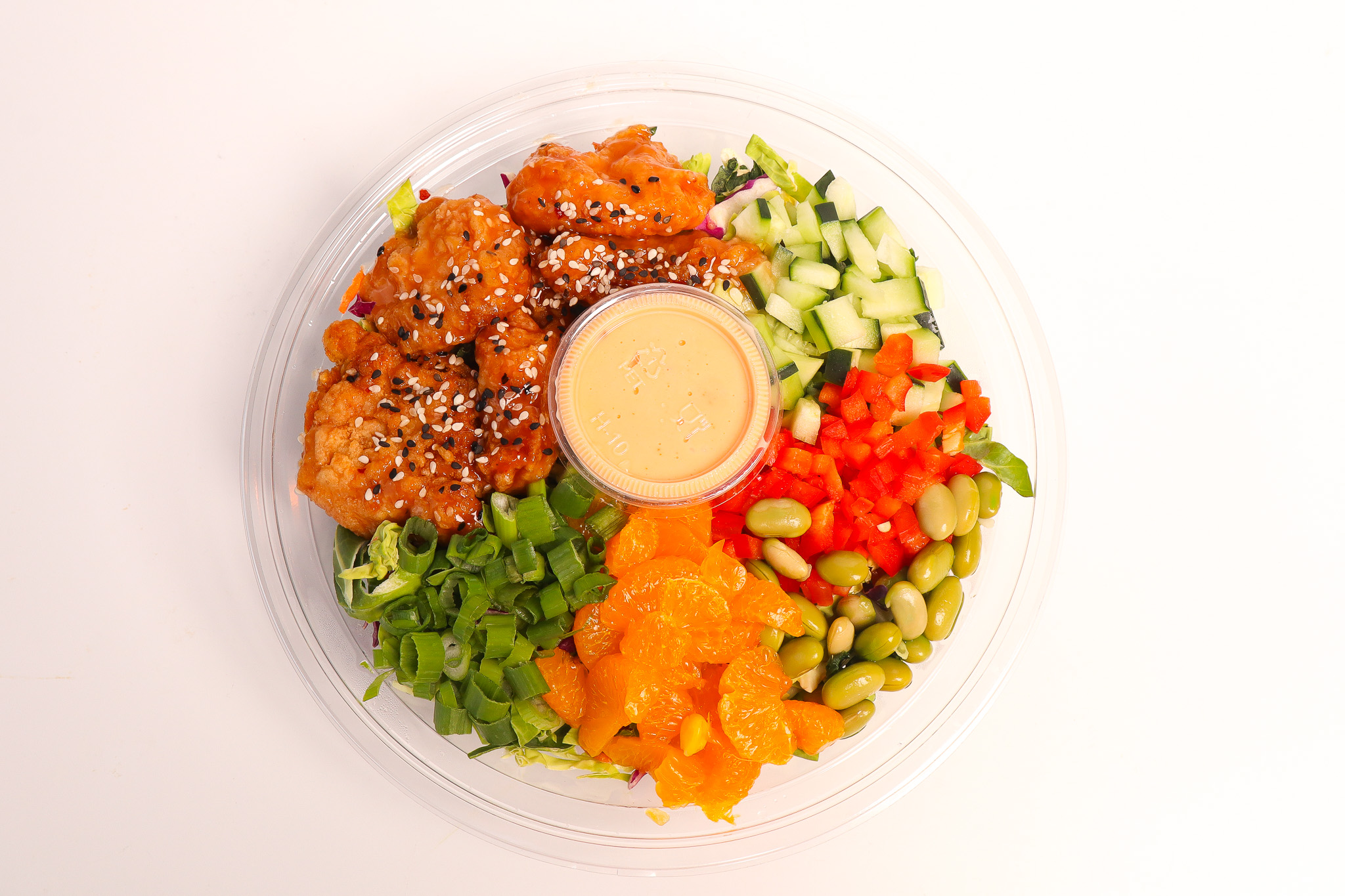 High Protein meal plan from ANEU